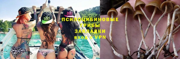 метадон Аркадак